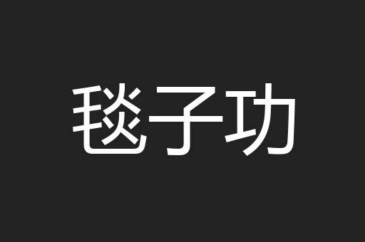 毯子功