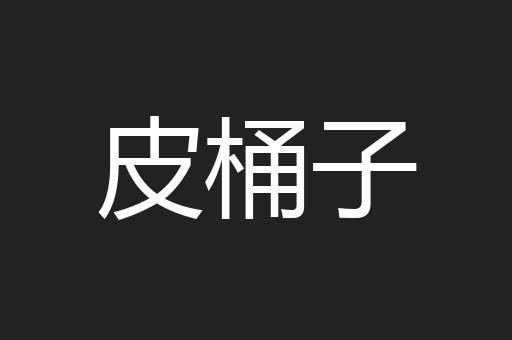 皮桶子