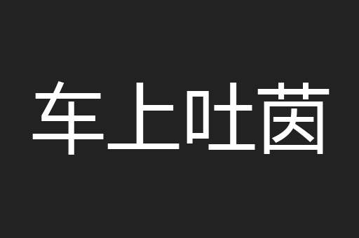 车上吐茵