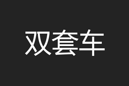 双套车