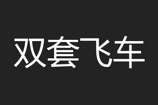 双套飞车