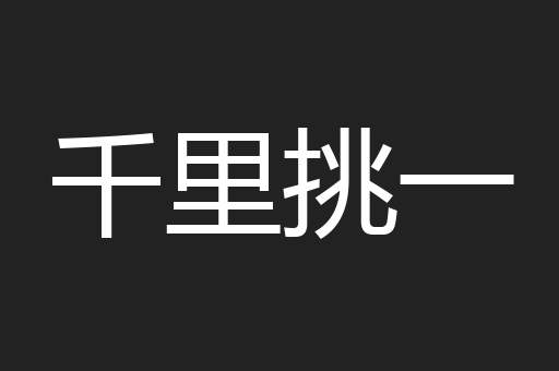 千里挑一