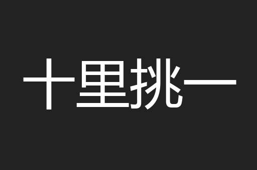 十里挑一
