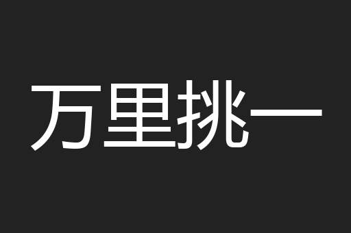 万里挑一