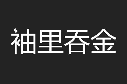 袖里吞金
