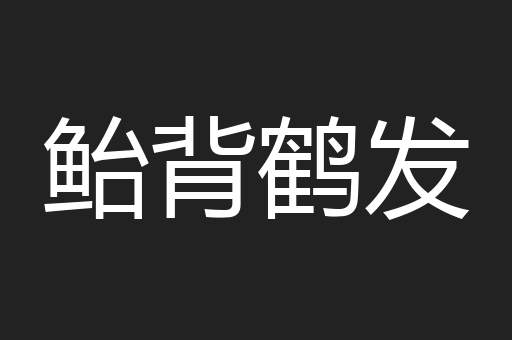 鲐背鹤发