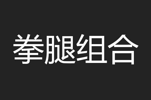 拳腿组合