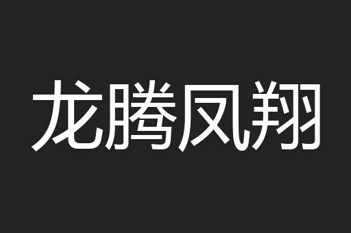 龙腾凤翔