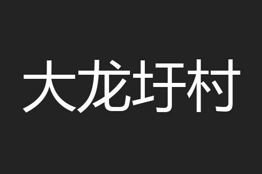 大龙圩村