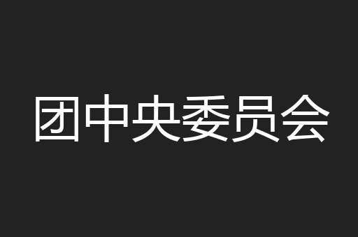 团中央委员会