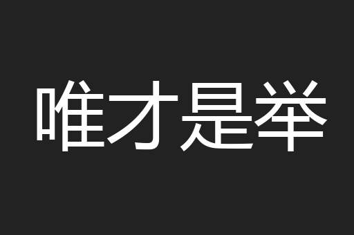 唯才是举