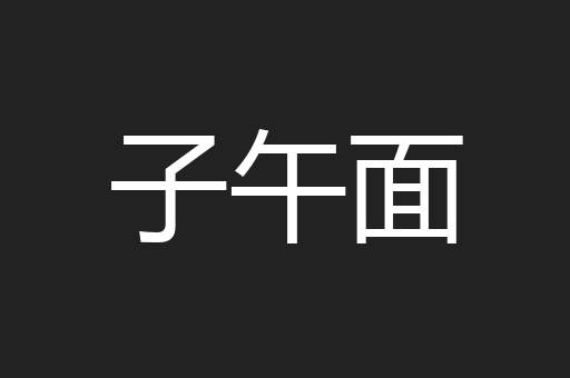 子午面