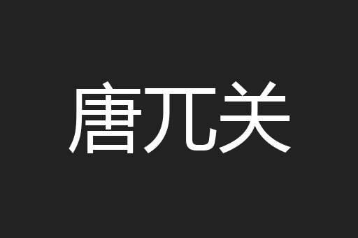 唐兀关