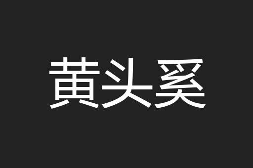 黄头奚
