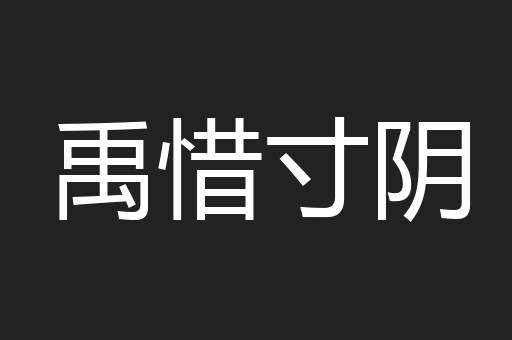 禹惜寸阴