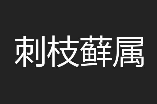 刺枝藓属