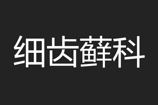 细齿藓科