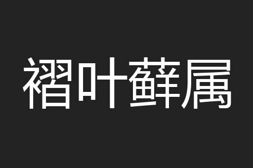 褶叶藓属