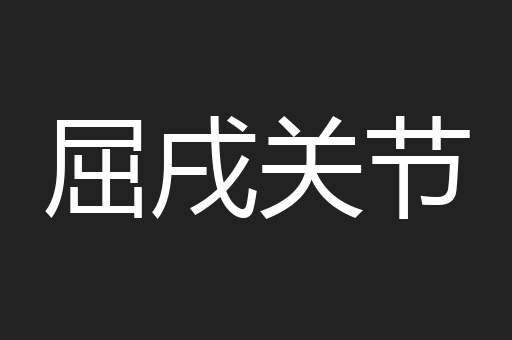 屈戌关节