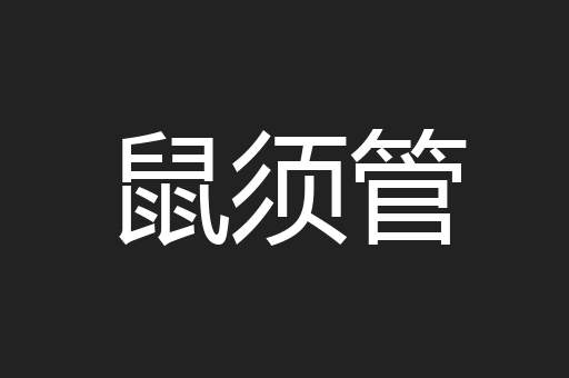 鼠须管