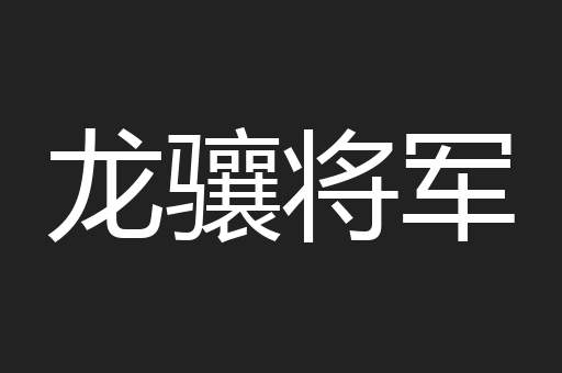 龙骧将军