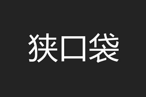 狭口袋