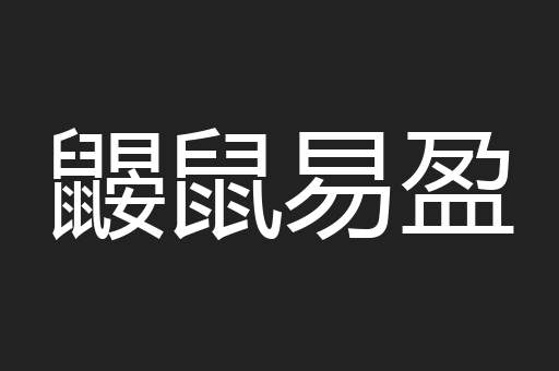 鼹鼠易盈