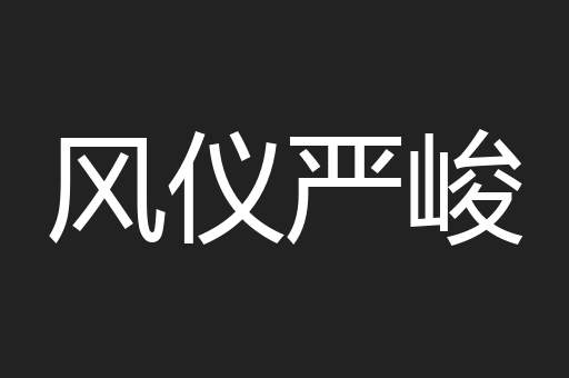 风仪严峻