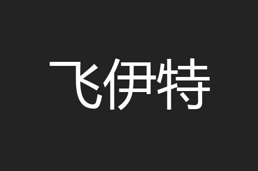 飞伊特