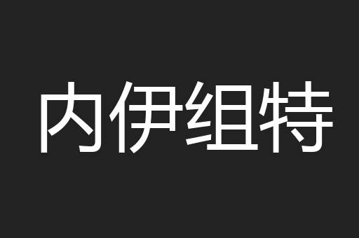内伊组特