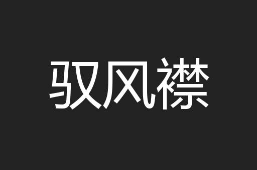 驭风襟