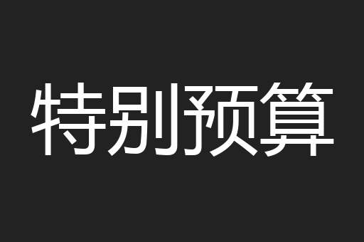 特别预算
