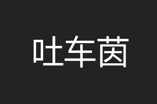 吐车茵