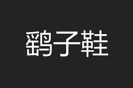 鹞子鞋