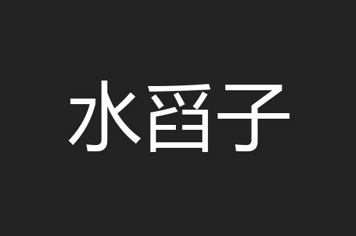 水舀子