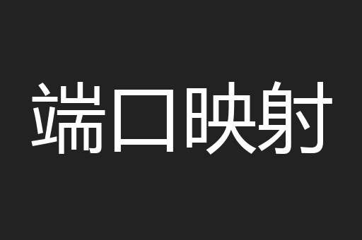 端口映射
