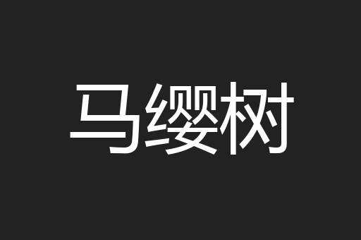 马缨树
