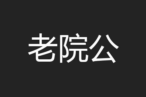 老院公