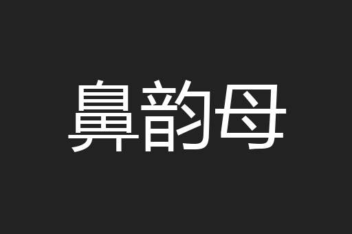 鼻韵母