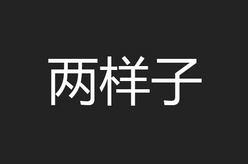 两样子