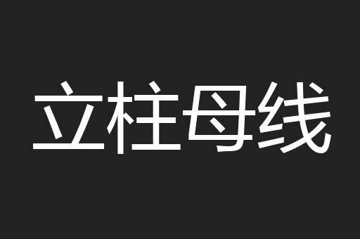 立柱母线
