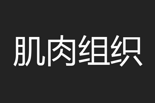 肌肉组织