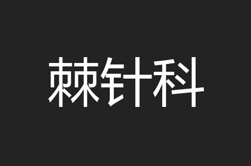 棘针科