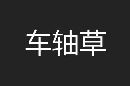 车轴草