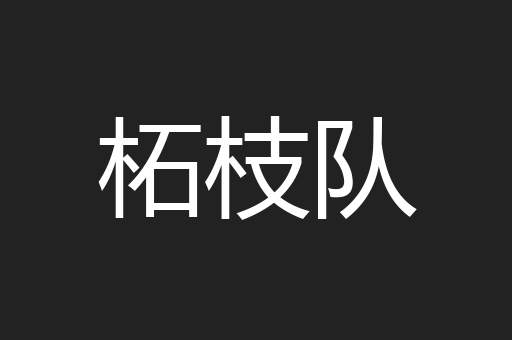 柘枝队