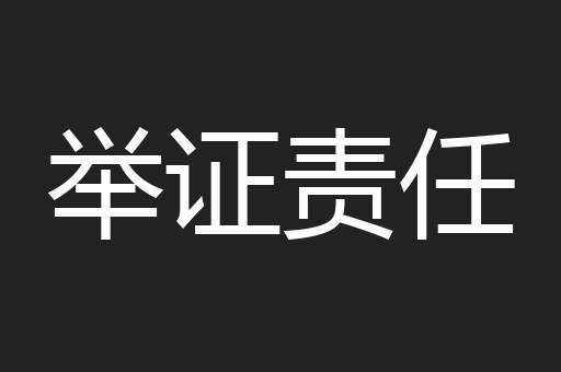 举证责任
