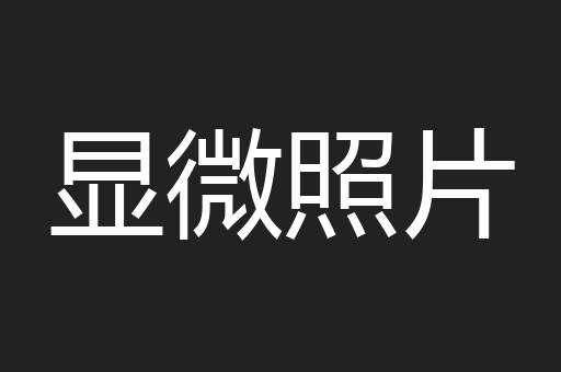 显微照片