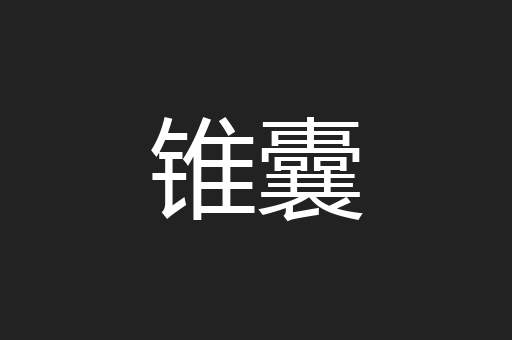 锥囊