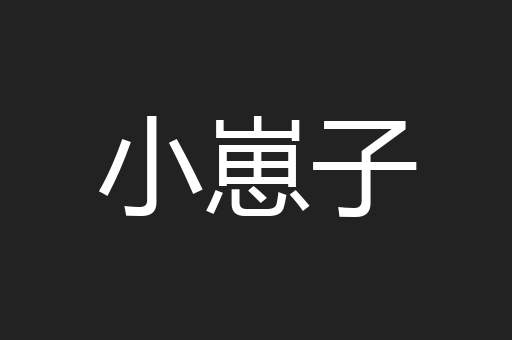 小崽子