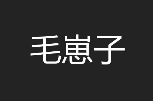 毛崽子